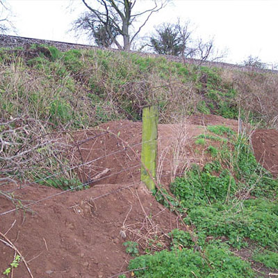 Badger Sett