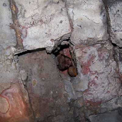 Bat in Brickwork