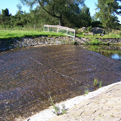 Crayfish Habitat