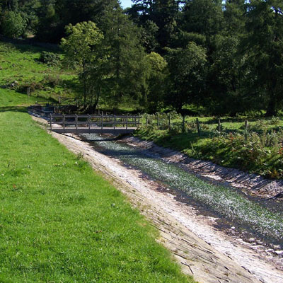 Crayfish Habitat