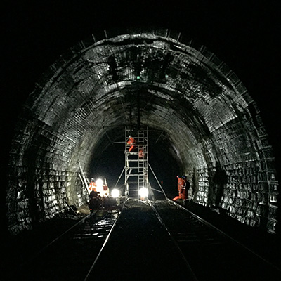 Tunnel inspection for bats
