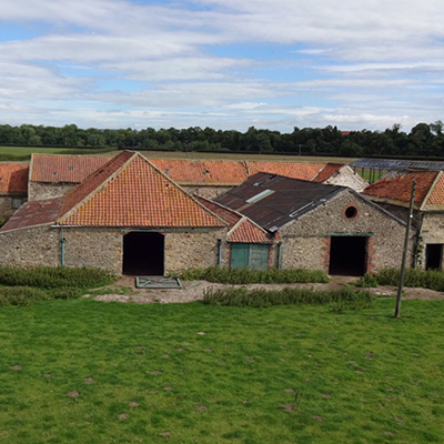 Bat survey of a disused farm