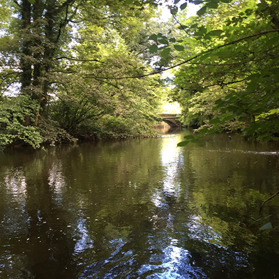 Phase 1 Habitat survey of a pipeline route