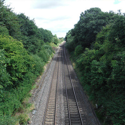 Ecology survey of a railway cutting