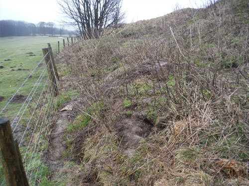 Brierlow Quarry