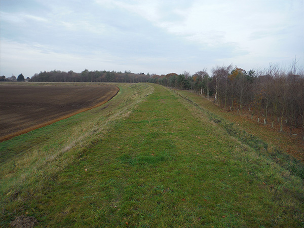 Bucklesham Quarry