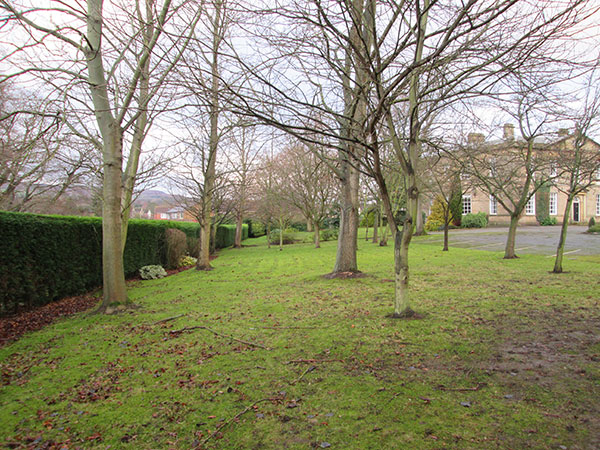 Burley House Project