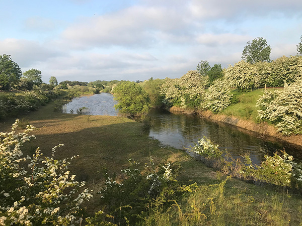 Rauceby Track Renewal