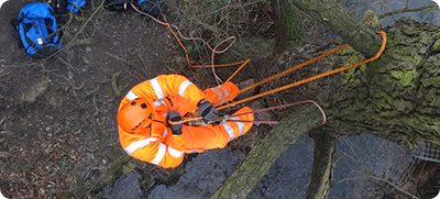 Extended Phase 1 Habitat Surveys