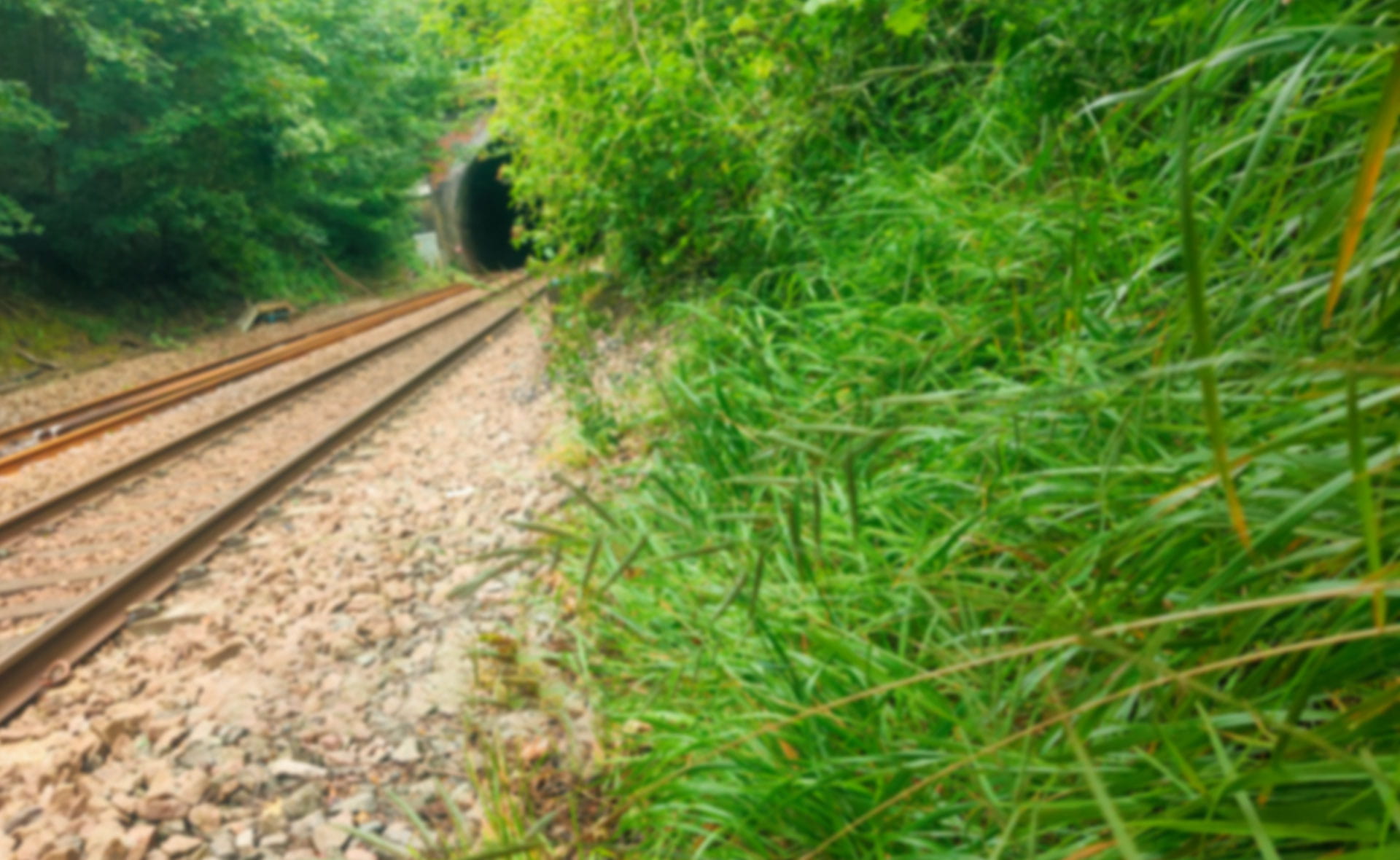 An image of rail tracks.
